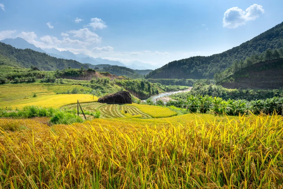 Kho gạo của Thịnh Phước